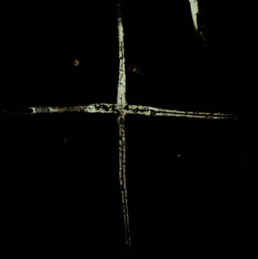 Microscopic image of a siliceous sponge spilule, preserved in a Cambrian shale. The width of the picture is 5 mm.  (GFZ/M. Tatzel)