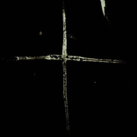 Bild: Did marine sponges trigger the ‘Cambrian explosion’ through ‘ecosystem engineering’?