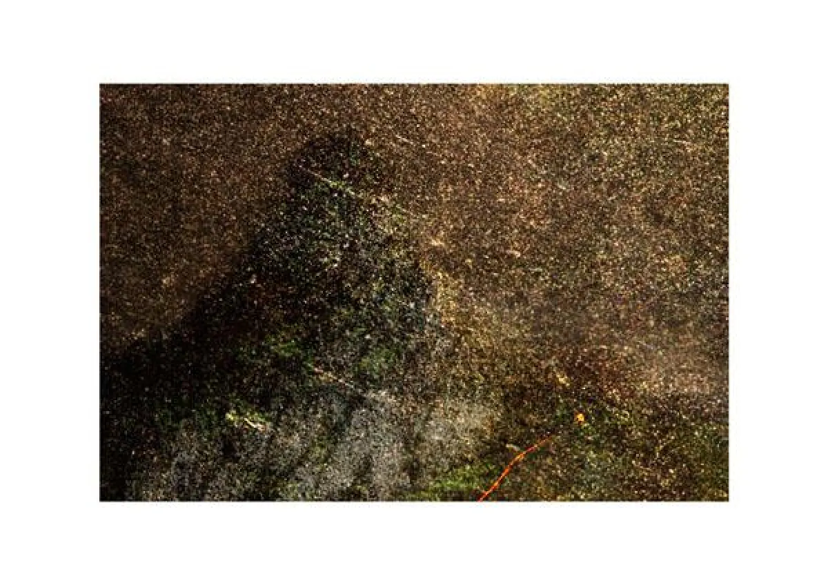 o.T. [staub] von Patrick Presch, 2007, 80 x 120 cm, Digitaler C-Print