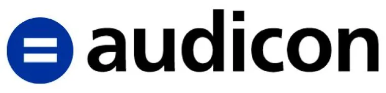 Bild: Release AIS TaxAudit 2008 R1. Individuelle Einstellungen möglich