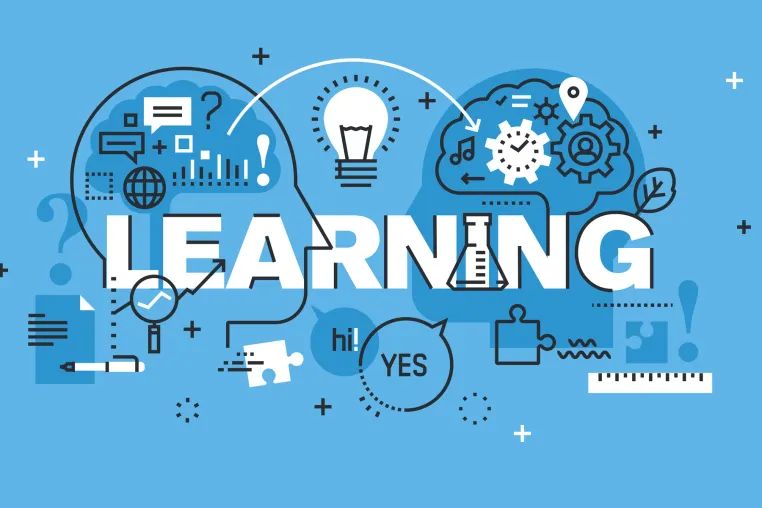 Bild: Online-Trainer:innen werden immer gefragter – Solution Elements startet interaktive Online-Ausbildung