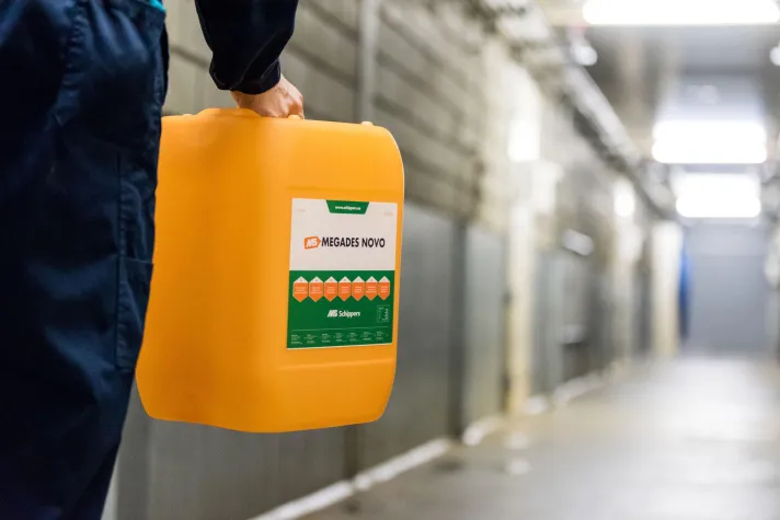 Bild: Desinfektionsmittel macht kurzen Prozess mit der Afrikanischen Schweinepest