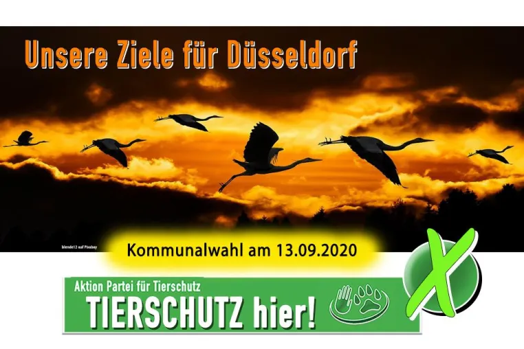 Bild: Tierschutz in Düsseldorf - Die Ziele