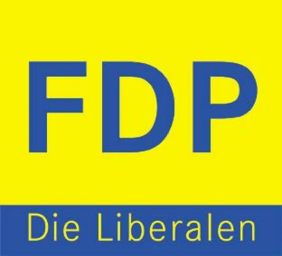 Bild: Haushalt 2007: FDP-Fraktionschef Lübke resümmiert das vergangene Jahr