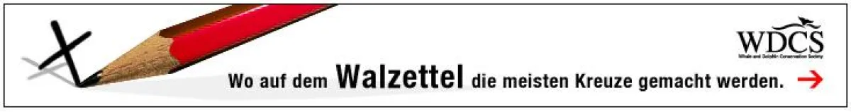 Online-Banner - Wo auf dem Walzettel die meisten Kreuze gemacht werden