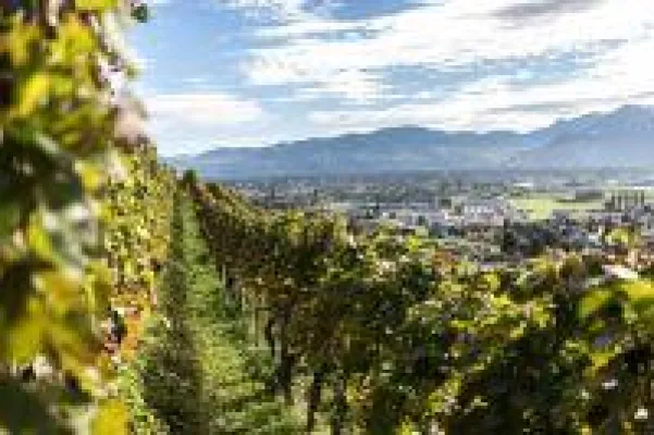 Bild: Genussregion St.Gallen-Bodensee: Von der fünften Jahreszeit, den vier B und weiteren Köstlichkeiten