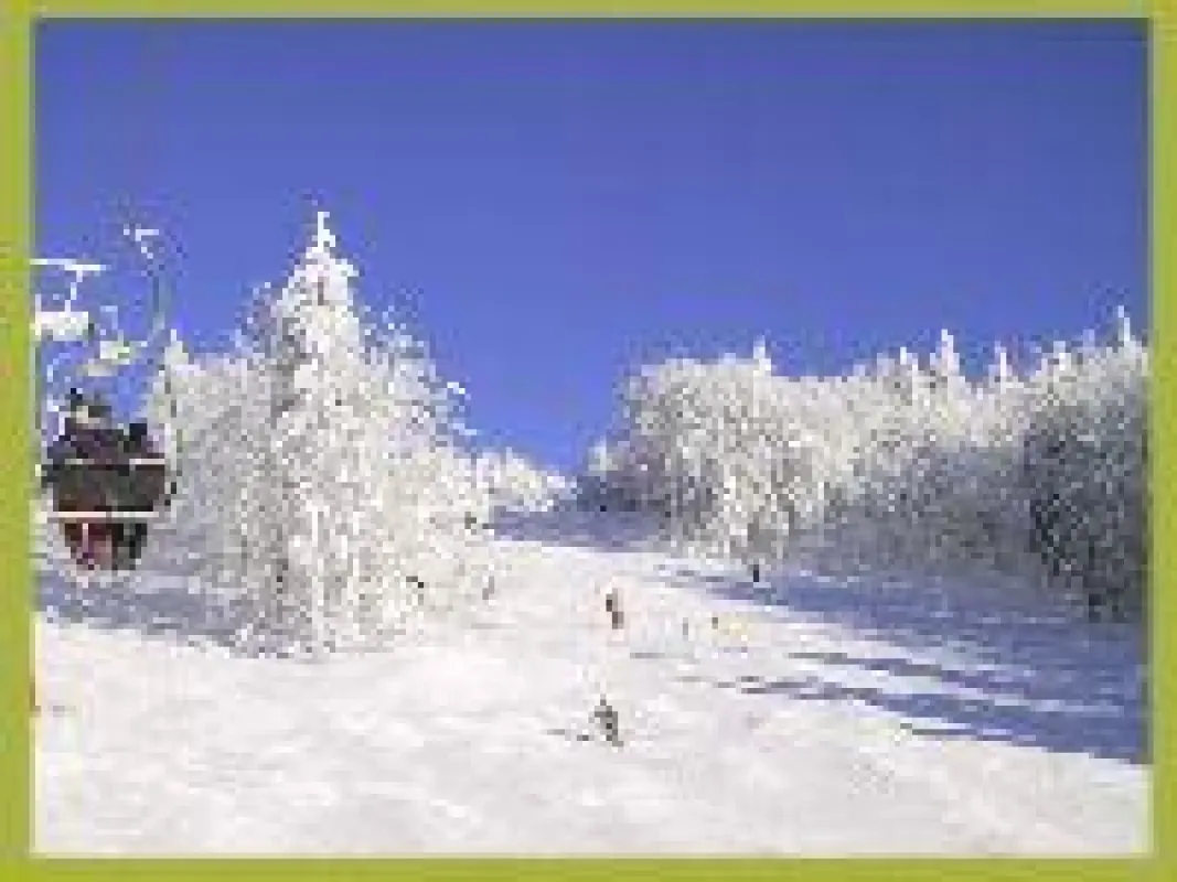 Am großen Almber Skilift