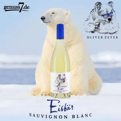 Bild: Eisbär – Sauvignon Blanc – Weißwein / Pfalz – Oliver Zeter