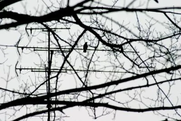 Bild: Mit der erleb-bar auf Stimmenfang - 7. Expedition ins Connewitzer Holz