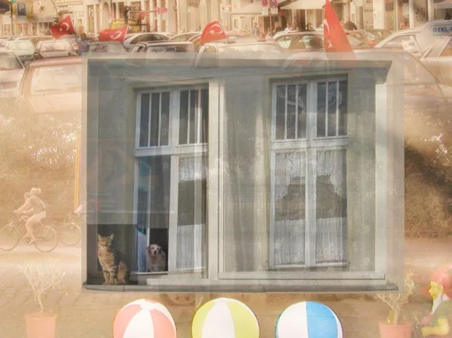 „50 Jahre Urlaub“ - Die Reisen des Herrn Schaaf Bild: „50 Jahre Urlaub“ - Die Reisen des Herrn Schaaf