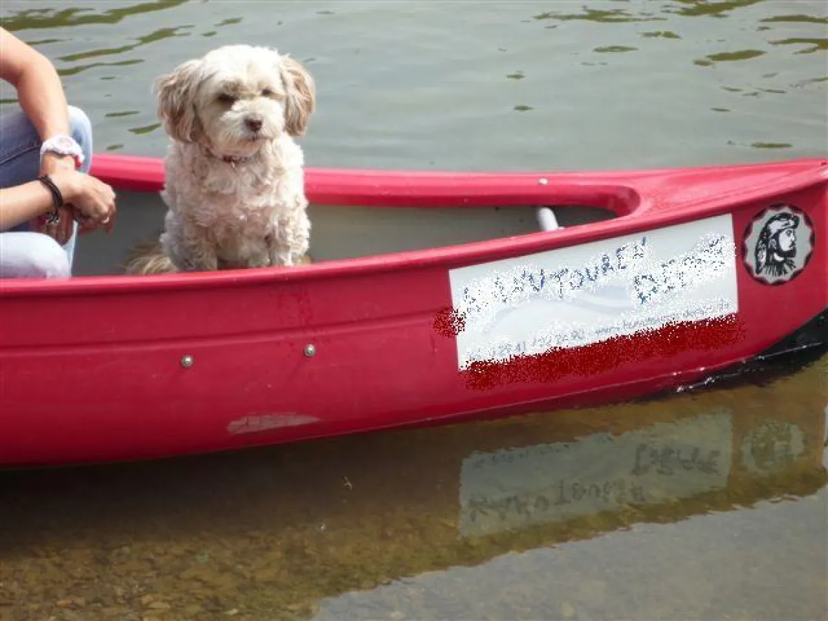 Mit meinem Hund in einem Boot - Kanutouren mit Max & Moritz Hundewandertouren