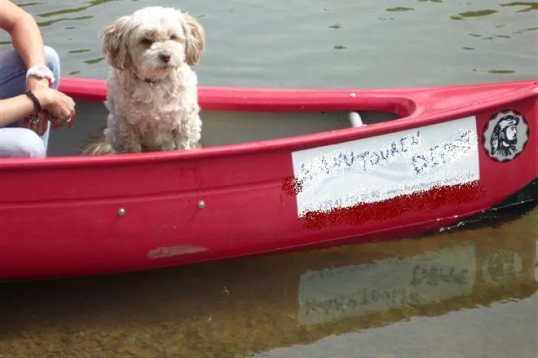 Kanutour mit Hund im "Venedig Westfalens" Bild: Kanutour mit Hund im "Venedig Westfalens"