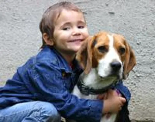 Bild: Neue Wege in der Hundeernährung: Was wirklich in den Napf gehört