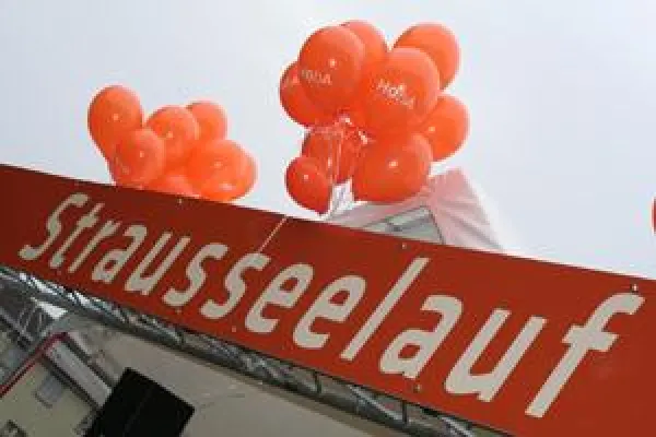 Bild: 85. Strausseelauf 2011, Strausberg bewegt sich