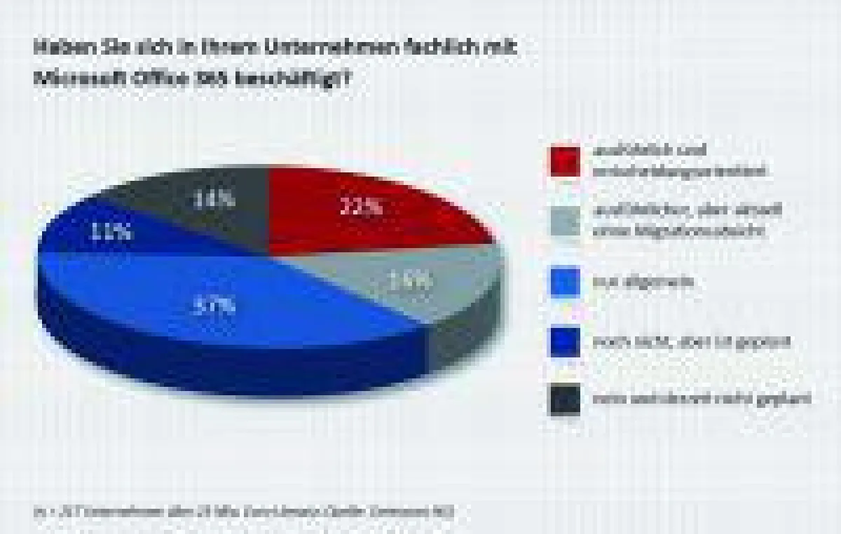 Haben Sie sich in Ihrem Unternehmen fachlich mit Microsoft Office 365 beschäftigt?