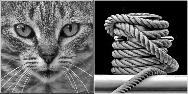 Bild: Fotoseminar „Digitale Schwarz/Weiß-Fotografie“ mit digitalem Workflow Black White Projekts 5