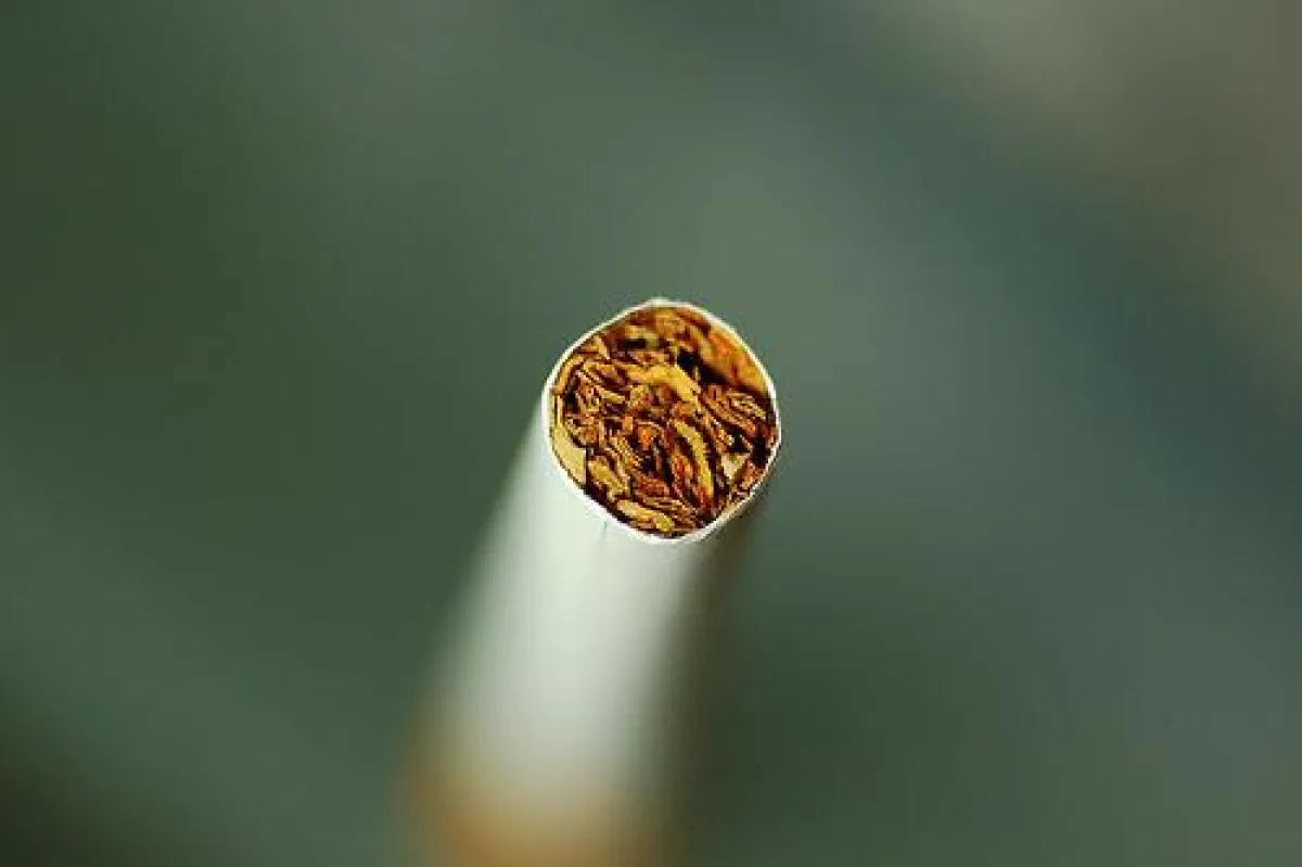 [c] flickr.com - JuLis wollen liberale Nichtraucherschutzregelung