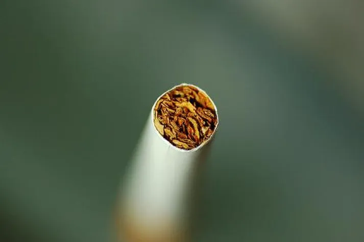 Bild: JuLis: Riese muss sich für liberale Regelung beim Nichtraucherschutz einsetzen