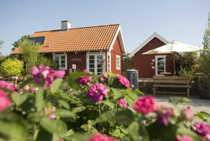 Bild: Wenn Dänemark durch die Blume(n) spricht