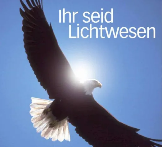 Bild: Ihr seid Lichtwesen