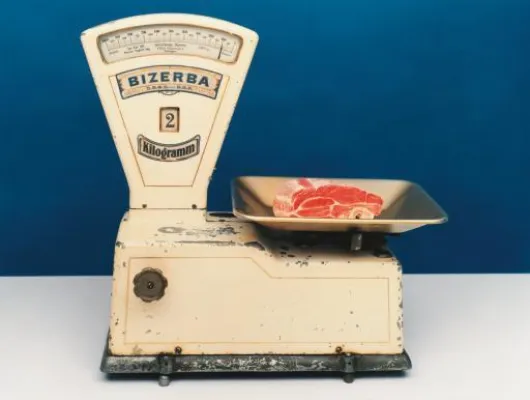 Bild: Faszination Waage