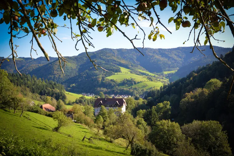 Bild: Neue Klinikleiterin in der Thure von Uexküll-Klinik im Glottertal 