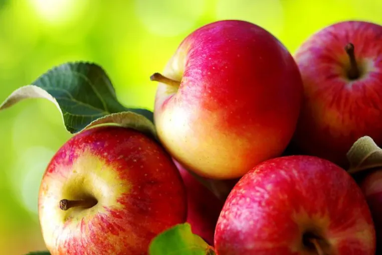 Bild: Kreuzallergien – wenn Pollenallergiker auf Nahrungsmittel reagieren