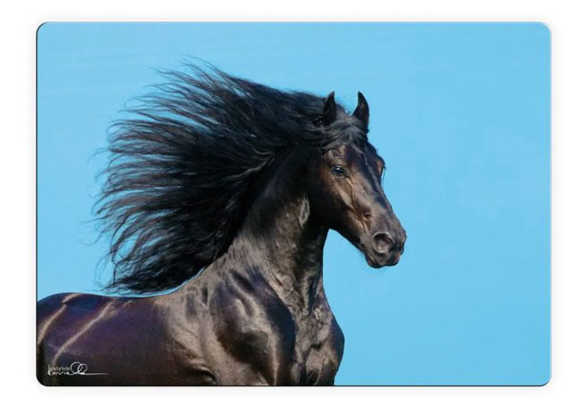 Moderne Wandbilder der Edition Boiselle mit Pferden