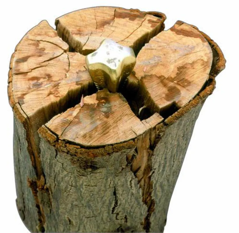 Der Holzspaltkeil Gold von Peddinghaus trennt Holzstücke gleichzeitig in vier Scheite.