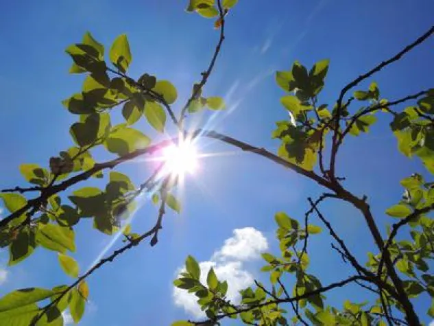 Frühjahrsputz auch für die Zähne Bild: Frühjahrsputz auch für die Zähne