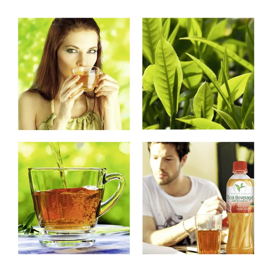 Trinkfertige Tees sind europaweit gefragt. Hersteller können bei WILD aus einem breiten Portfolio wä