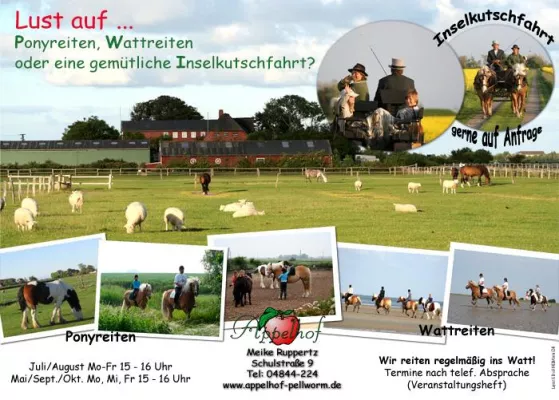 Bild: Pferdepension – ein zweites zu Hause für den vierbeinigen Freund