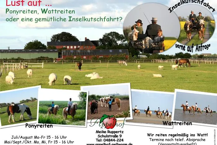 Bild: Pferdepension – ein zweites zu Hause für den vierbeinigen Freund