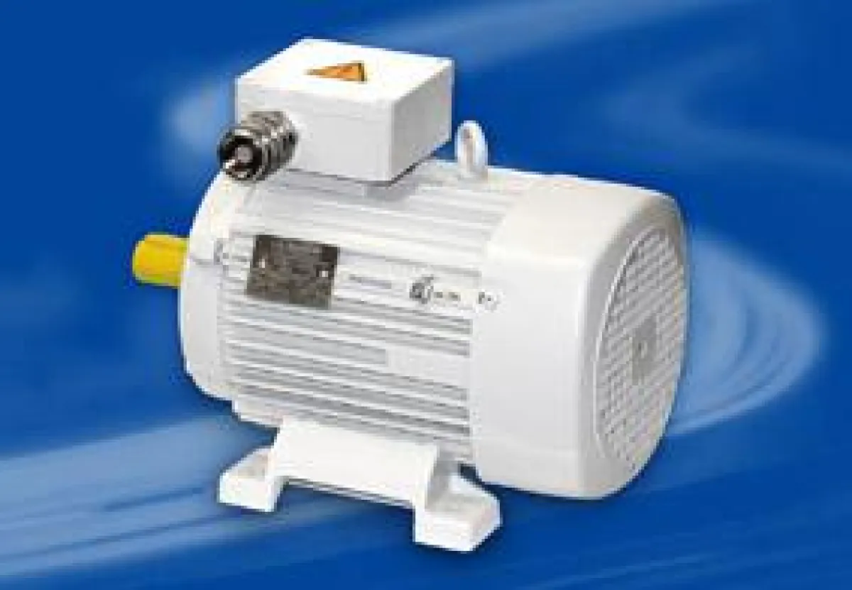 Der Drehstrom-Synchrongenerator DSG P 112.14-6 Ex von Hübner Giessen mit IECEx-Zertifizierung