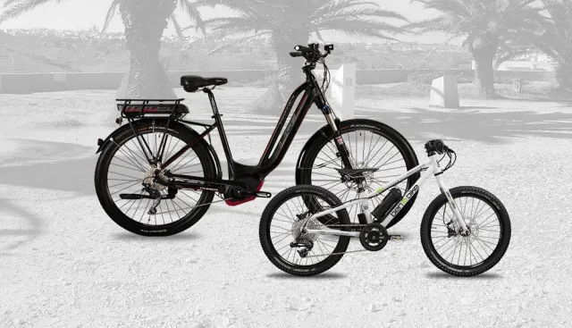 Bild: Lust auf einen Mehrgenerationenausflug mit dem Rad? E-Bikes machen's möglich