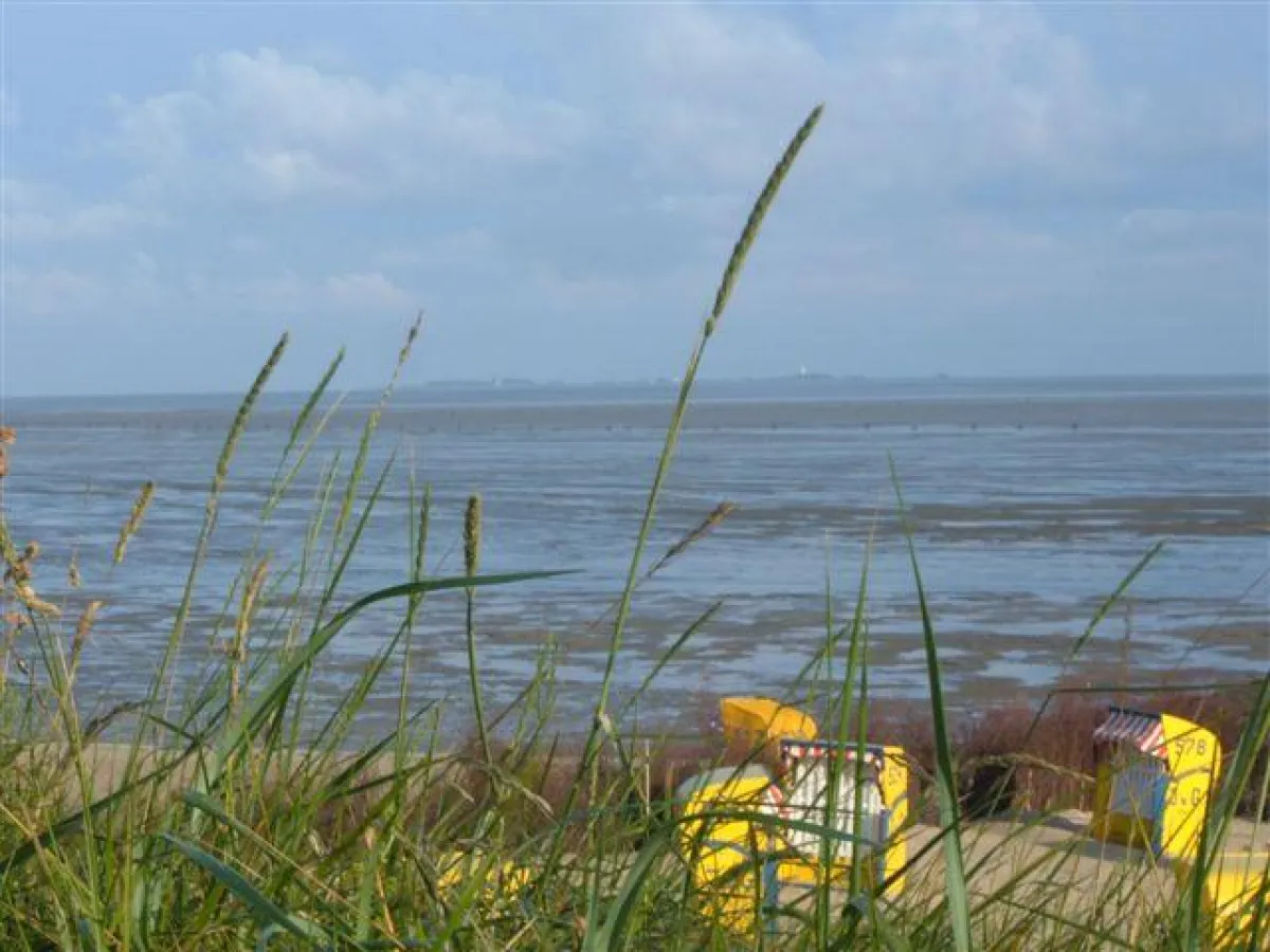 Max & Moritz Hundewandertouren im Wurster Land