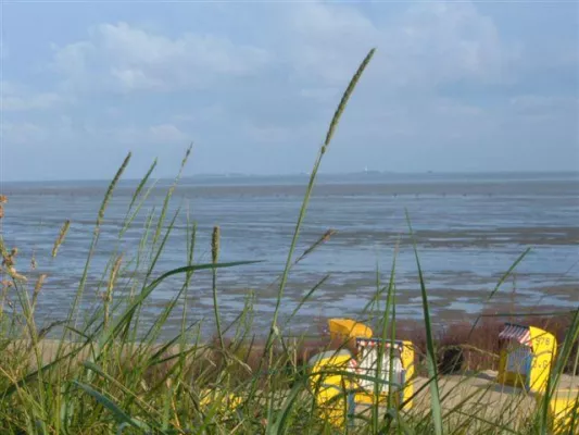 Bild: Herbstzeit - Wanderzeit – und fast leere Strände für Menschen mit Hund