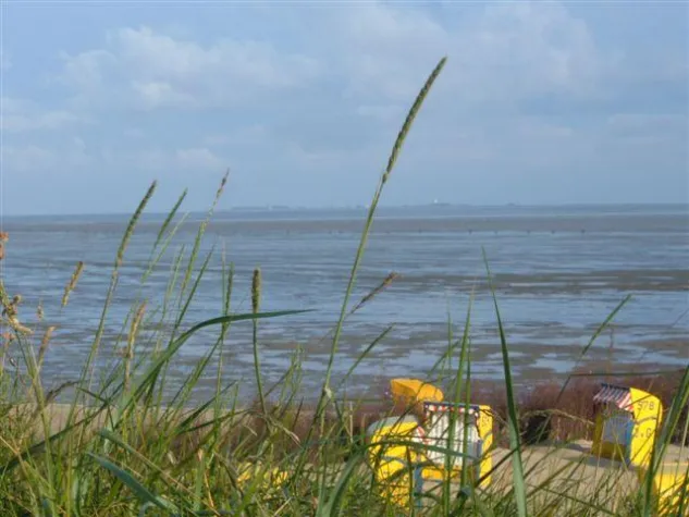 Bild: Herbstzeit - Wanderzeit – und fast leere Strände für Menschen mit Hund
