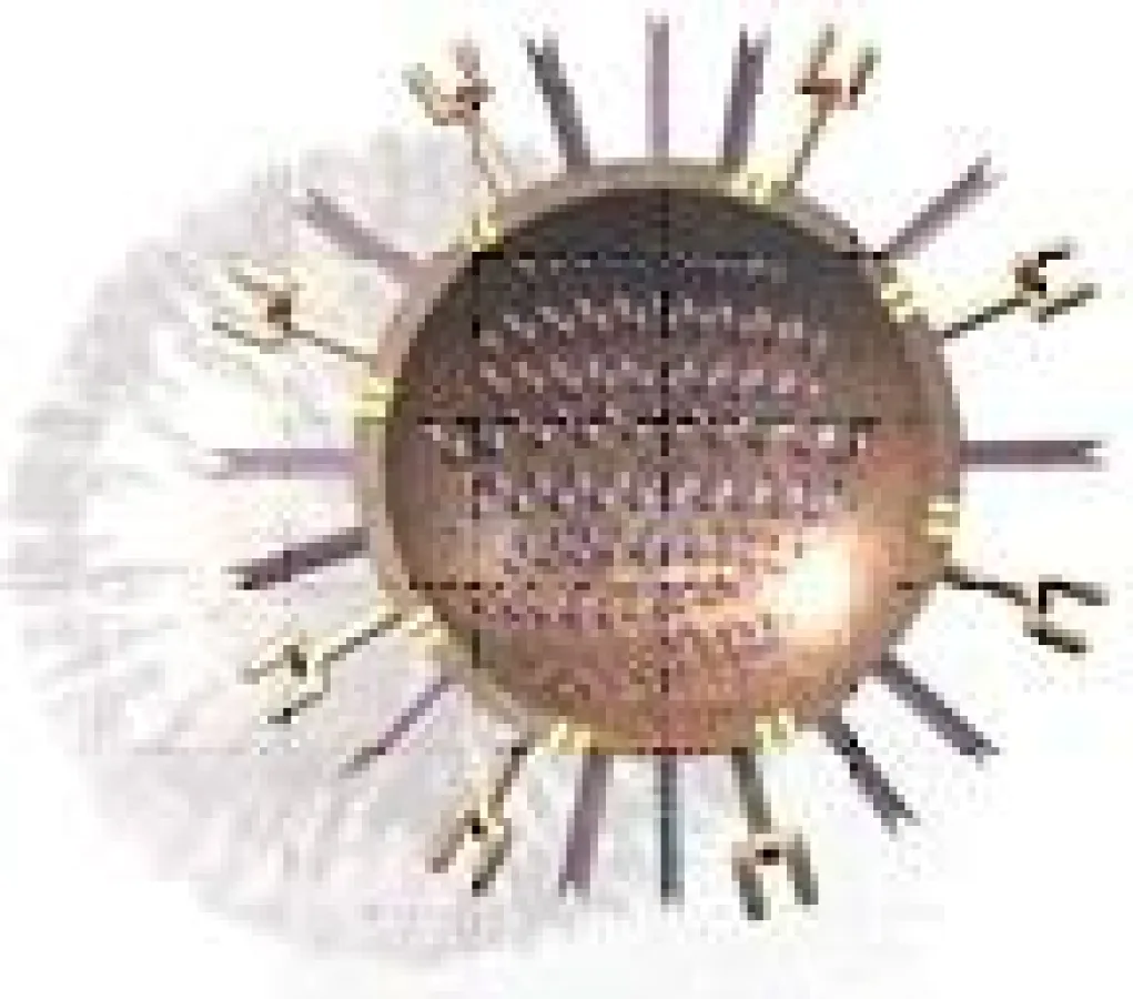 Influenza-Virus: Erreger der Grippe / Quelle: Roche