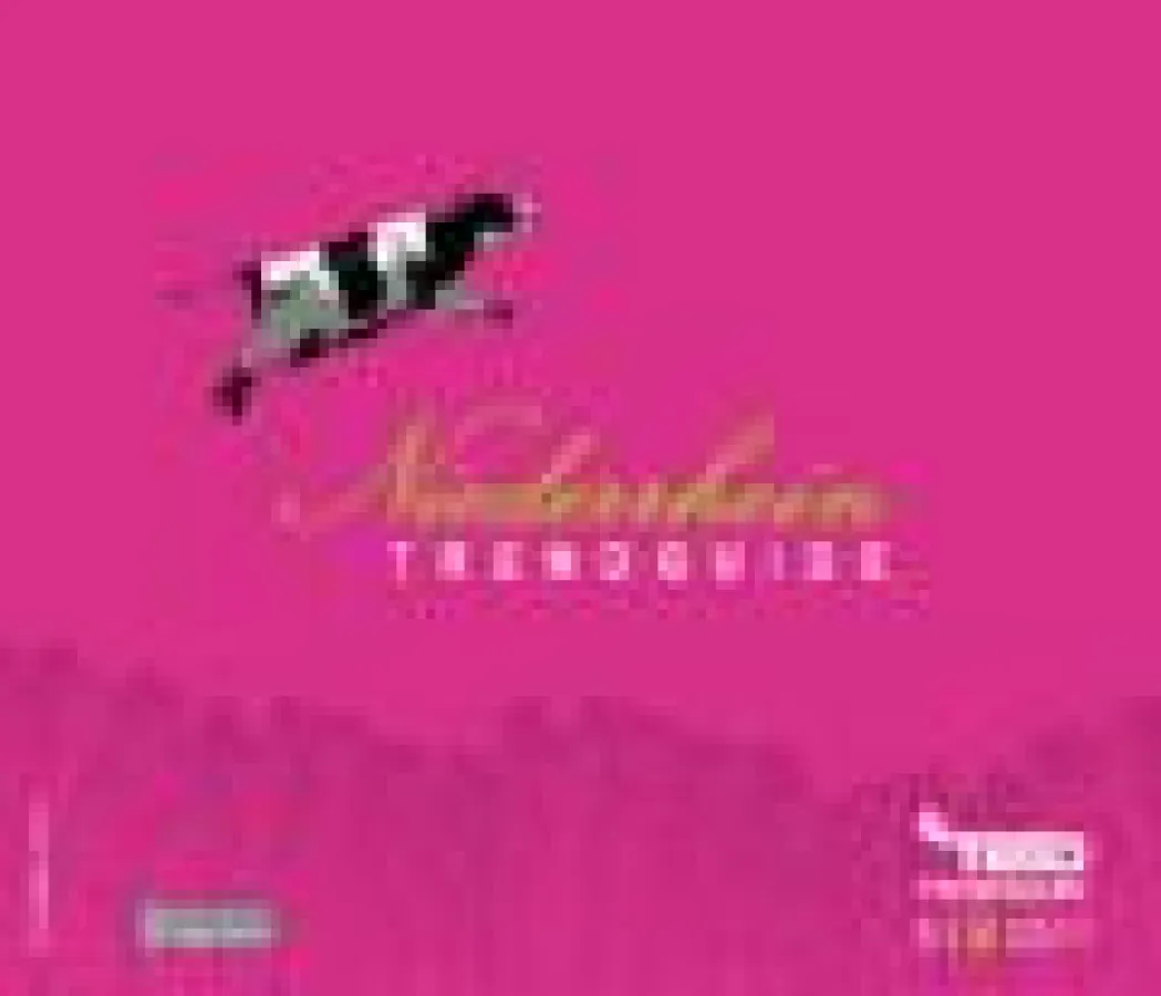 Titel Trendguide Niederrhein