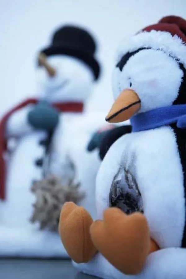 Augen auf beim Spielzeugkauf: Beim Weihnachtsshopping unbedingt auf das GS-Zeichen achten