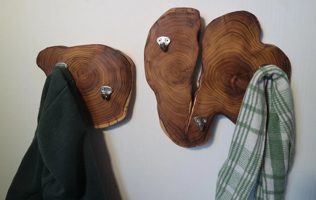 Einzigartige Garderobe aus Baumscheiben