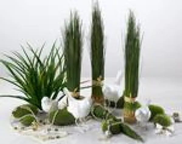 Bild: Modische Accessoires in der Schaufensterdekoration