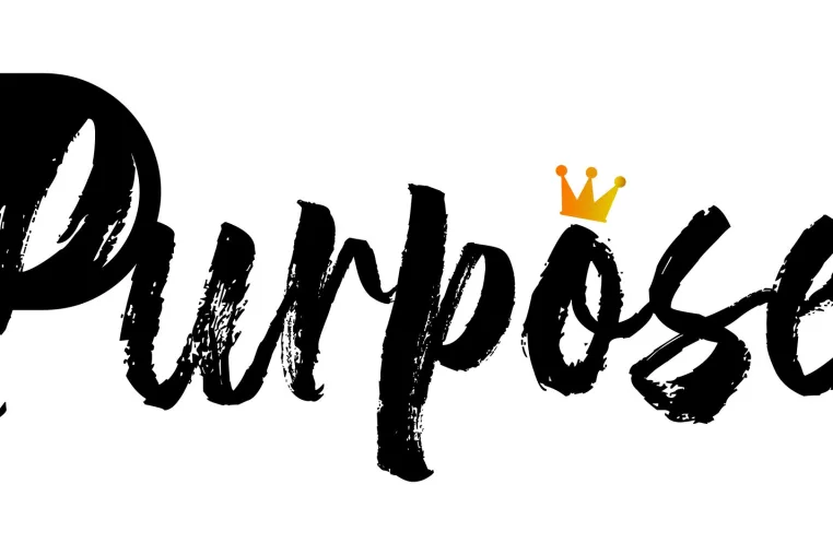 Bild: Purpose – Die erste Marke die Leben rettet.