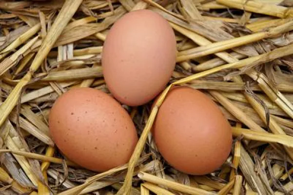 Eine Haut wie aus dem Ei gepellt Bild: Eine Haut wie aus dem Ei gepellt