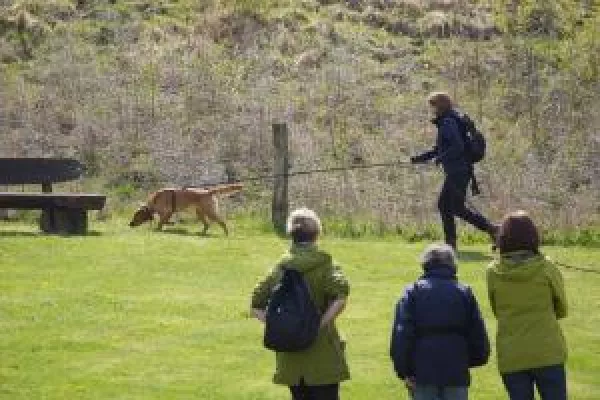 Bild: „Mantrailing“ und „Wandern mit Hund“ in Lindenfels