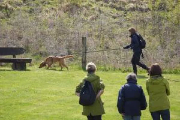 „Mantrailing“ und „Wandern mit Hund“ in Lindenfels Bild: „Mantrailing“ und „Wandern mit Hund“ in Lindenfels