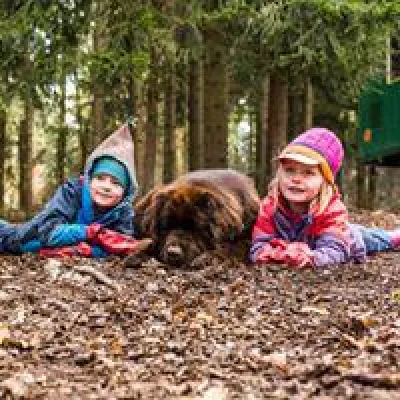 Bild: Ein neuer Waldkindergarten ab September 2019