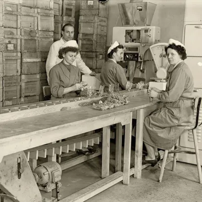 Vom Tante-Emma-Laden bis zum E-Commerce: Ein Rückblick auf die Geschichte des Lebensmittelhandels Bild: Vom Tante-Emma-Laden bis zum E-Commerce: Ein Rückblick auf die Geschichte des Lebensmittelhandels