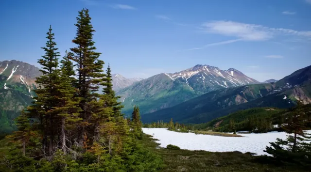 Brixton Metals: Neue Gold- und Silbertreffer erweitern Trapper-Zone abermals! Bild: Brixton Metals: Neue Gold- und Silbertreffer erweitern Trapper-Zone abermals!